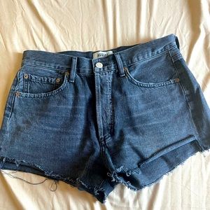 Agolde Parker Shorts in Crash